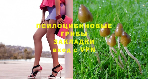 прущая мука Алзамай