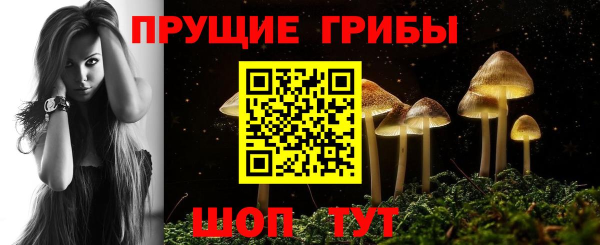 Владивосток  Галлюциногенные грибы Cubensis  дарнет шоп  Галлюциногенные грибы Magic Shrooms  Вход с VPN 