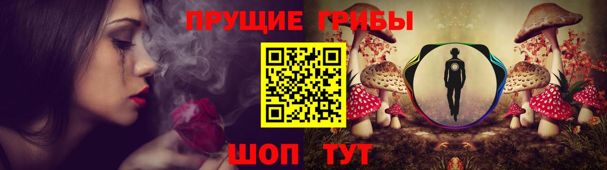 Галлюциногенные грибы GOLDEN TEACHER Владивосток