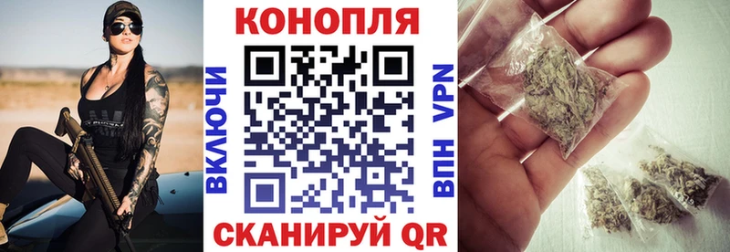 где купить наркоту  мега ссылки  Бошки Шишки индика  Владивосток 