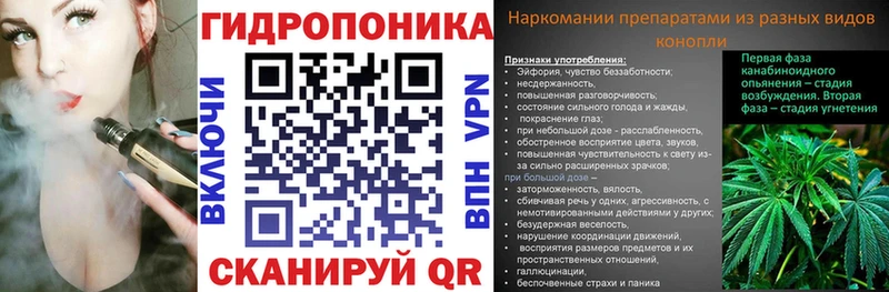 Марихуана индика Владивосток